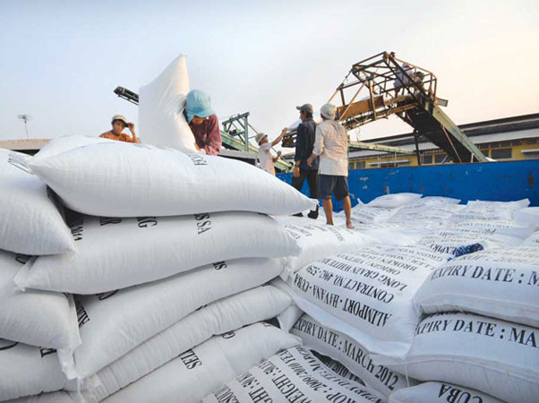 Việt Nam trúng thầu bán 100.000 tấn gạo cho Philippines