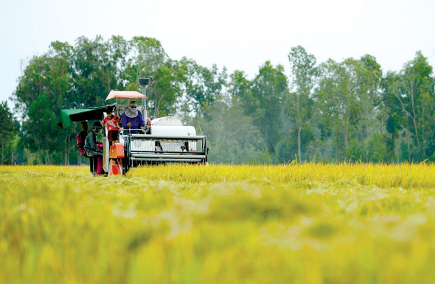 Vắng bóng DN tư nhân trong chính sách nông nghiệp của ASEAN