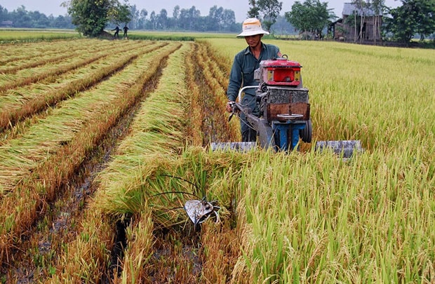 6 chính sách mới có hiệu lực từ tháng 7/2015