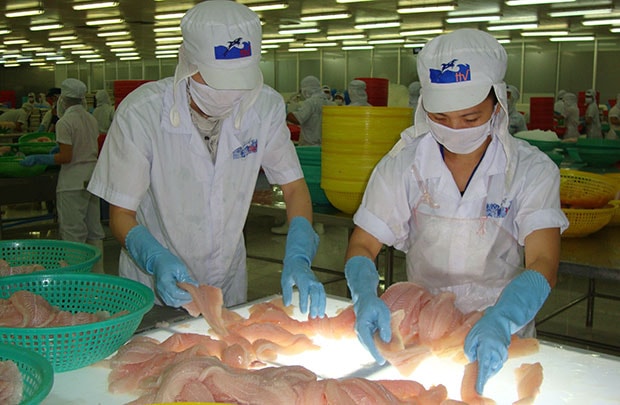 Xuất khẩu thủy sản giảm mạnh trong 6 tháng đầu năm 2015