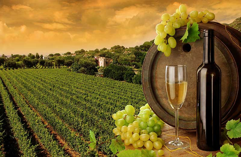 8 vùng sản xuất rượu vang mới nổi trên thế giới