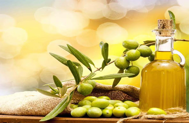 Giải mã phương pháp dưỡng da bằng dầu Olive 