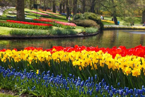 Ghé thăm những vườn hoa nổi tiếng trên thế giới doanhnhansaigon