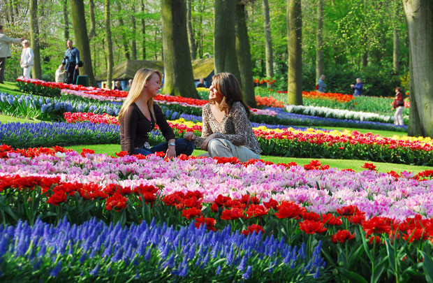 Ghé thăm những vườn hoa nổi tiếng trên thế giới