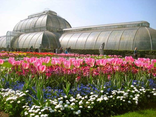 Ghé thăm những vườn hoa nổi tiếng trên thế giới doanhnhansaigon