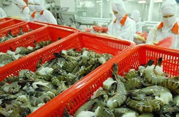 Mỹ giảm mạnh thuế chống bán phá giá tôm cho Việt Nam