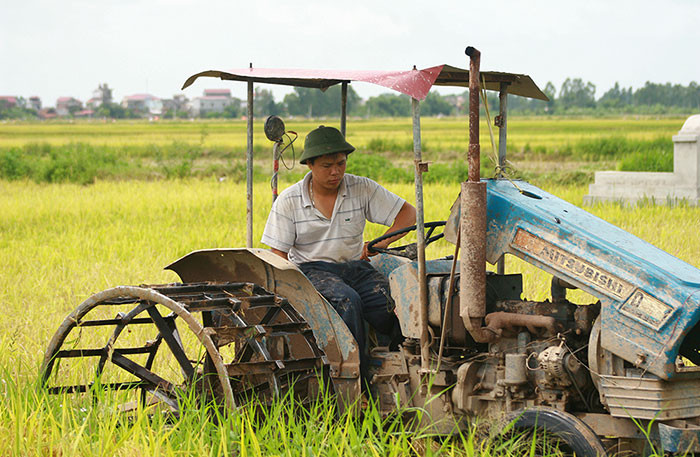 ASEAN+3 đẩy mạnh hợp tác trong lĩnh vực nông - lâm nghiệp