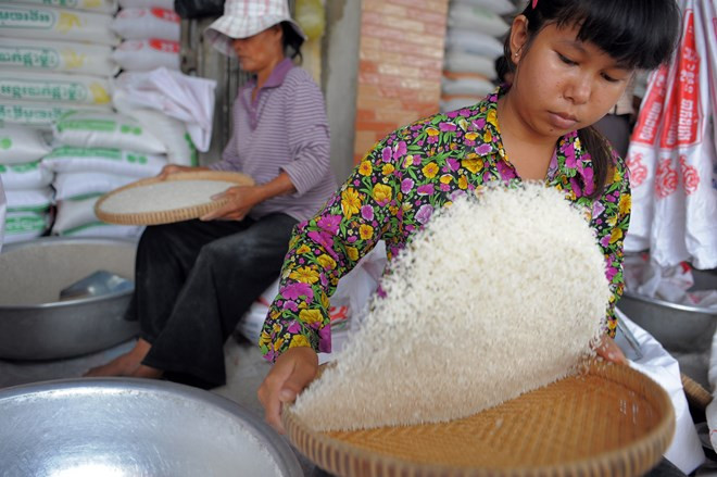 Trong năm nay, Campuchia khó đạt mục tiêu xuất 1 triệu tấn gạo