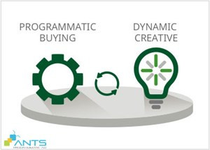 5 bước thúc đẩy chiến lược Programmatic doanhnhansaigon