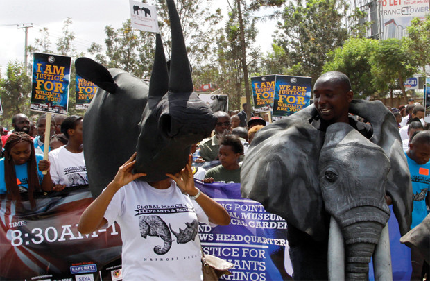 Cần dừng ngay mọi hoạt động mua bán ngà voi 