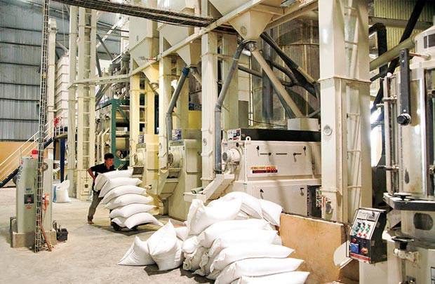 Gạo Việt Nam giảm sức cạnh tranh ở xuất khẩu lẫn nội địa