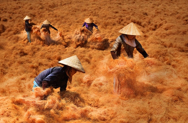 Việt Nam dẫn đầu chỉ số lạc quan về TPP