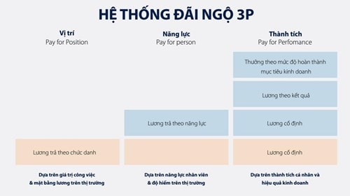 Hệ thống đãi nộ 3P doanhnhansaigon