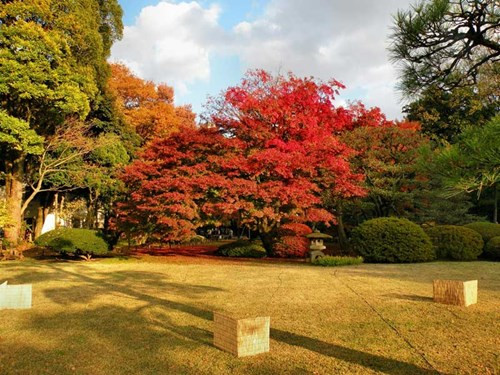 5 địa điểm lý tưởng ngắm mùa Thu Nhật Bản doanhnhansaigon