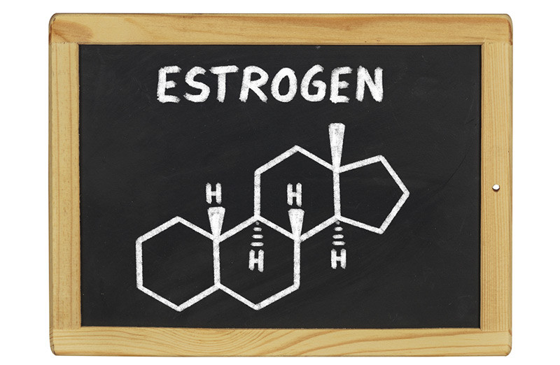 Estrogen và sức khỏe của xương