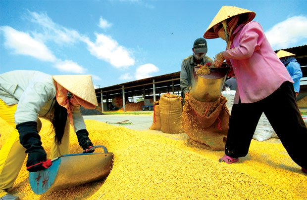 Tháng 10, giá trị xuất khẩu nông lâm sản ước đạt 2,55 tỷ USD