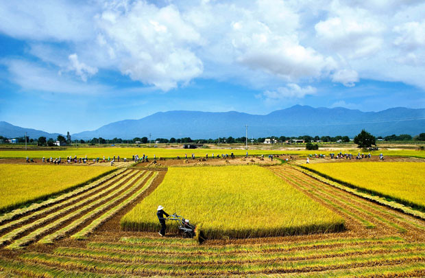 Canada hỗ trợ gần 13 triệu CAD phát triển nông nghiệp Việt Nam 