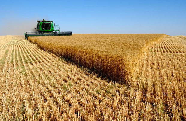 Nga: 12 triệu ha đất nông nghiệp thuộc sở hữu người nước ngoài