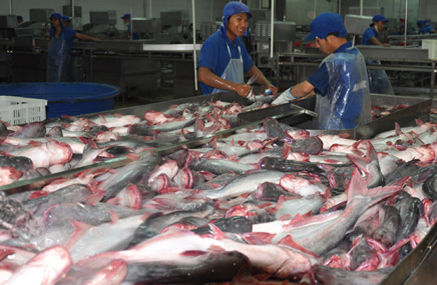 Mỹ giám sát cá tra Việt Nam: Có trái nguyên tắc của WTO?