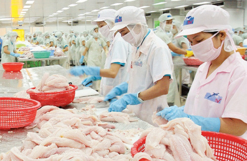Trung Quốc - Thị trường xuất khẩu tiềm năng của cá tra Việt?