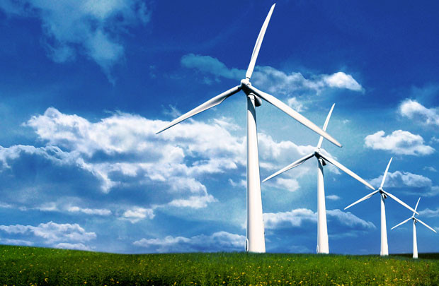 Đầu tư dự án nhà máy điện gió ở Cà Mau