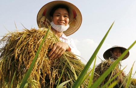 Tiến sĩ nông nghiệp Nguyễn Quốc Vọng: 