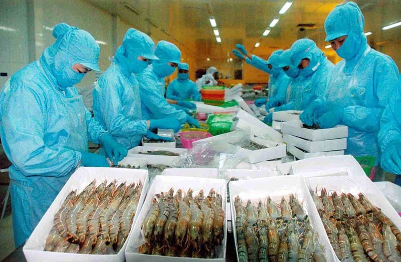 Năm 2016, xuất khẩu tôm sang Mỹ sẽ có nhiều khởi sắc