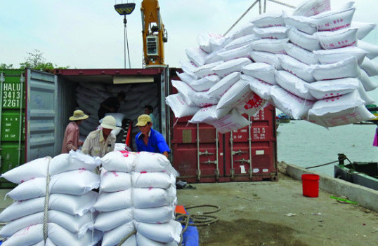 Tháng 1/2016, sản lượng gạo xuất khẩu tăng 46%