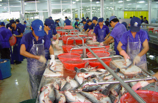 45 doanh nghiệp cá tra Việt đủ điều kiện xuất khẩu sang Mỹ
