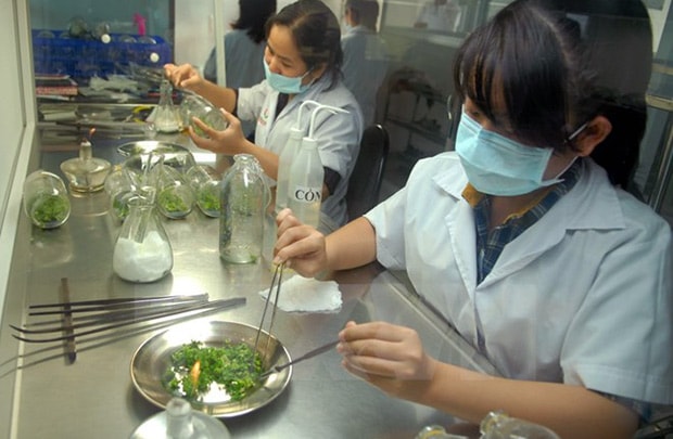 Indonesia công nhận hệ thống kiểm soát an toàn thực phẩm của Việt Nam