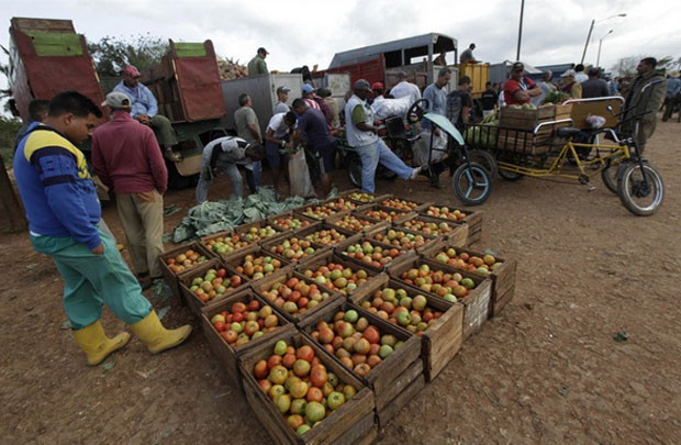 Cuba sẽ mở thị trường bán sỉ lương thực