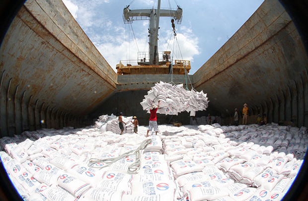 Xuất khẩu gạo 6 tháng đầu năm dự kiến tăng 12%