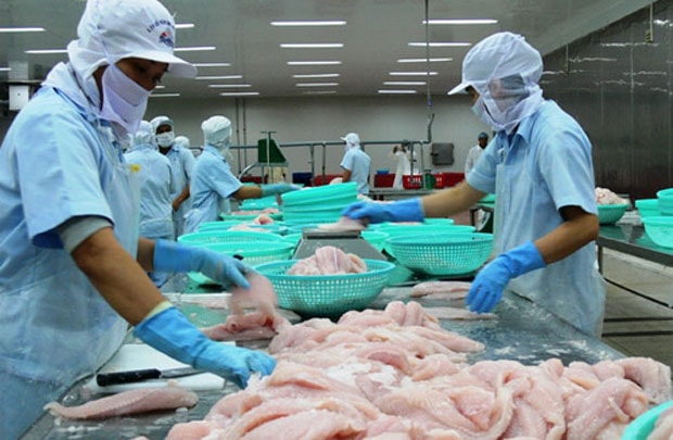 Quý I/2016, xuất khẩu cá tra sang Thái Lan tăng 16,3%