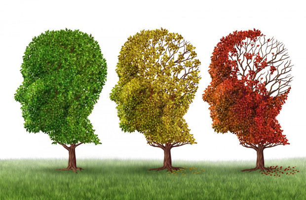 3 thói quen đẩy lùi nguy cơ mắc bệnh Alzheimer