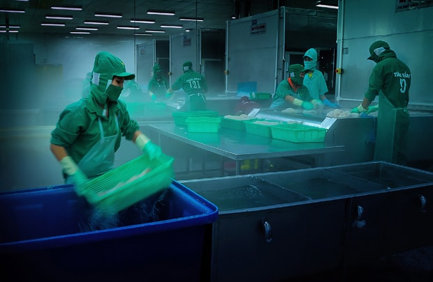 HSBC: Kinh tế Việt Nam hướng tới tăng trưởng chậm nhưng bền vững