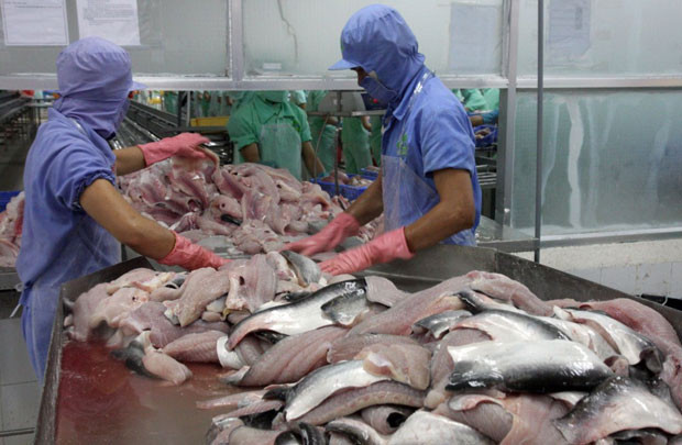 57 cơ sở xuất khẩu cá da trơn vào Mỹ