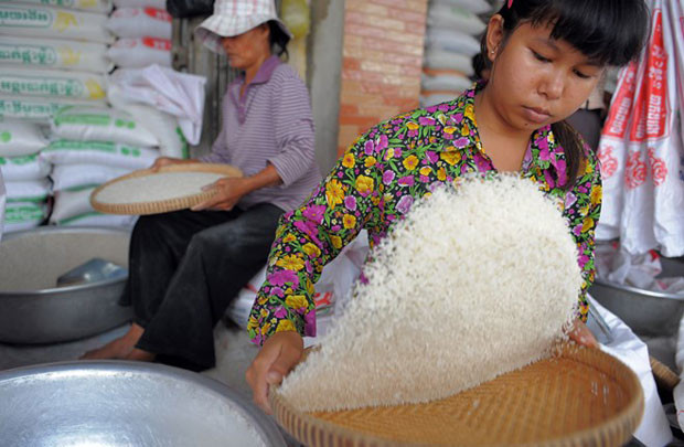 Nửa đầu 2016, Campuchia xuất khẩu hơn 260.000 tấn gạo