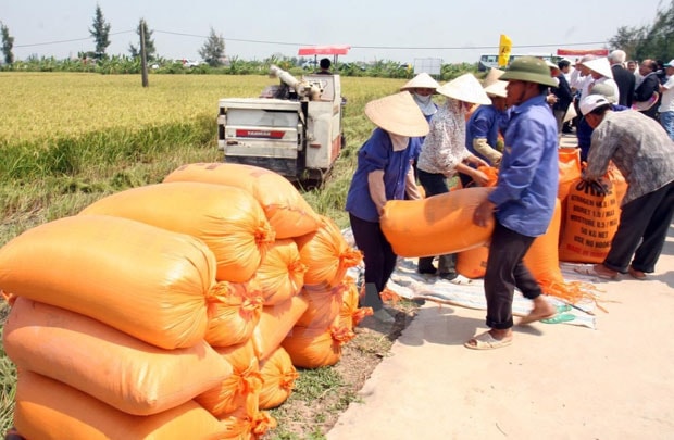 Châu Á đẩy mạnh phát triển nông thôn và an ninh lương thực