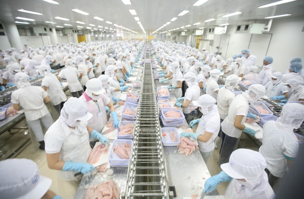 Ngưng cấp chứng thư cho các lô hàng thủy sản bị EU cảnh báo 