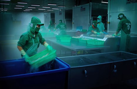 17 cơ sở chế biến thủy sản được xuất khẩu vào Panama 