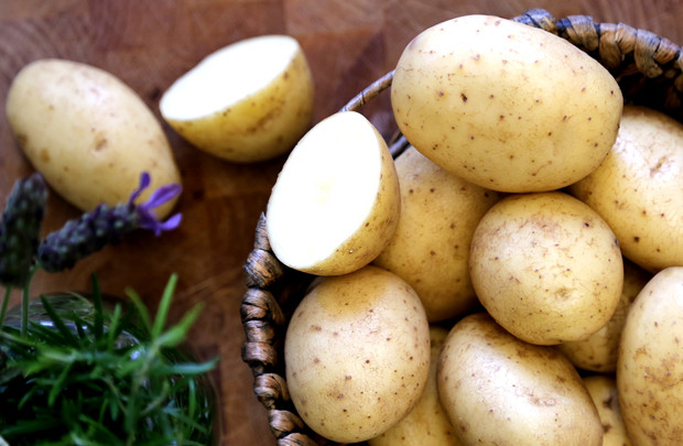 Vì sao không nên bảo quản khoai tây trong tủ lạnh?