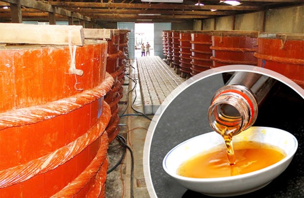 Thủ tướng yêu cầu xử lý nghiêm sai phạm của Vinastas