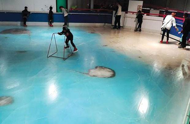 Nhật Bản xôn xao vì sân trượt băng ướp... cá thật