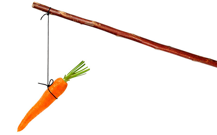 Sách phải đọc của nhà quản lý: Tạm biệt cà rốt và cây gậy