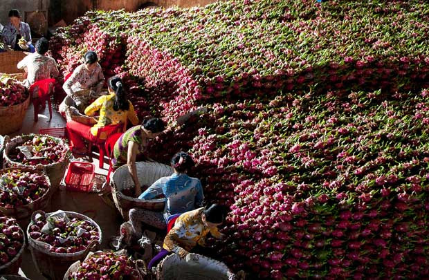 Ấn Độ bỏ lệnh cấm nhập khẩu 6 mặt hàng nông sản của Việt Nam