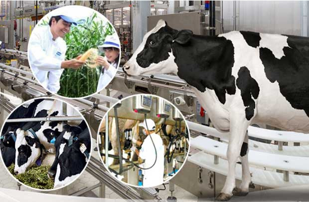 Triển lãm Quốc tế ngành sữa và sản phẩm sữa