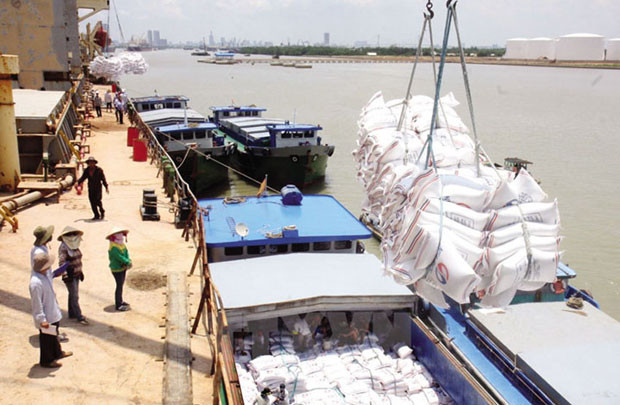 Hạt gạo trong vòng xoáy xuất khẩu