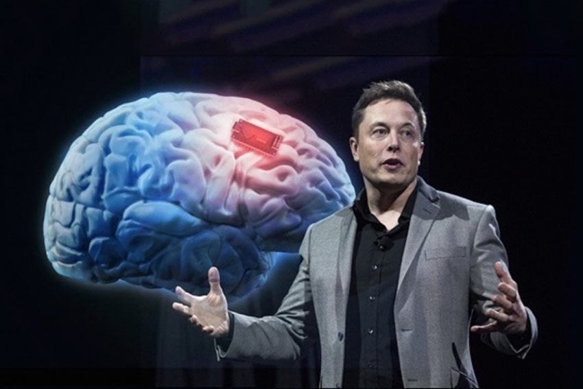 Elon Musk bắt đầu nghiên cứu liên kết não người với máy tính