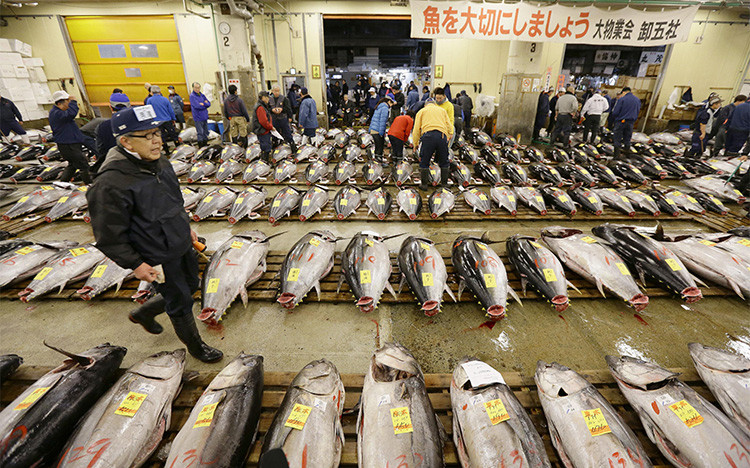 Nhật Bản: Chợ cá 82 năm tuổi 