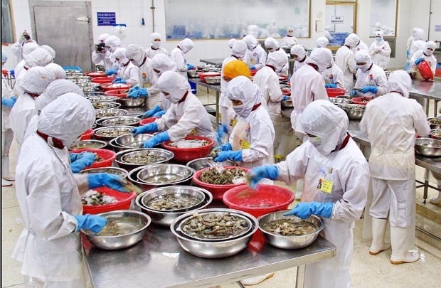6 tháng, xuất khẩu thuỷ sản ước đạt 3,6 tỷ USD
